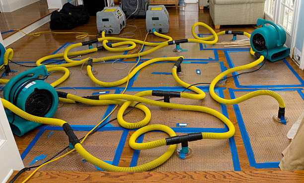 Professional Sewage Cleanup technician working in Harrod, OH
